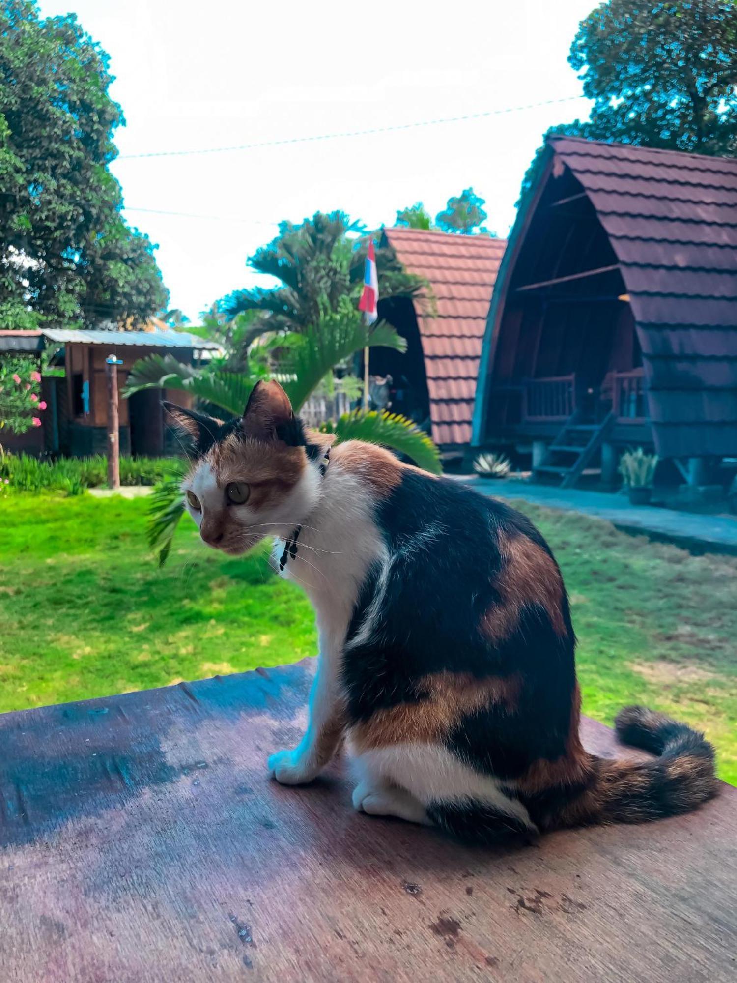 Leaf Coco Bungalow Gili Air Eksteriør bilde