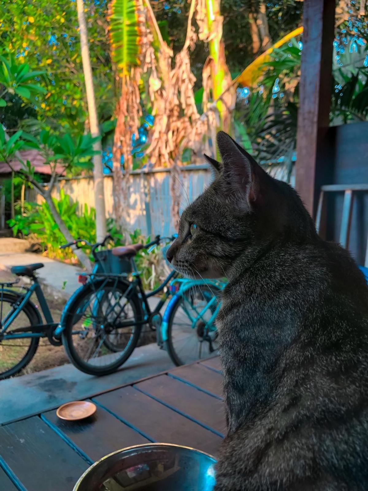 Leaf Coco Bungalow Gili Air Eksteriør bilde