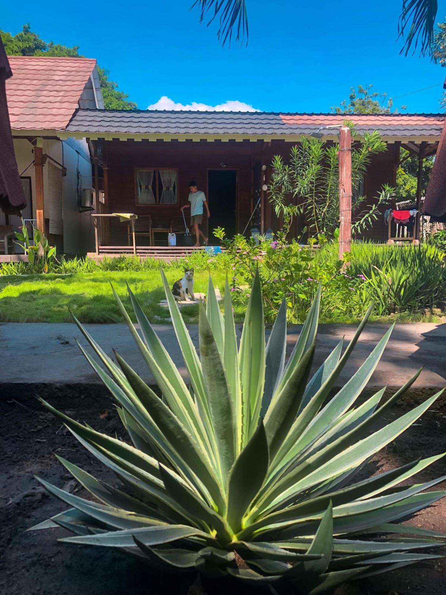 Leaf Coco Bungalow Gili Air Eksteriør bilde